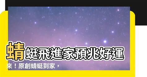 蜻蜓飛進來|蜻蜓飛進家中，專家解析玄機